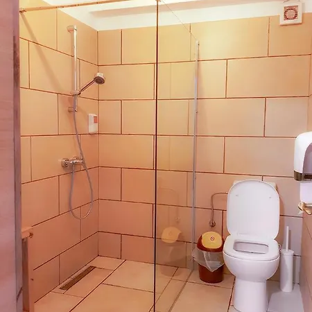 Casa Lazaroiu Gasthuis 3*